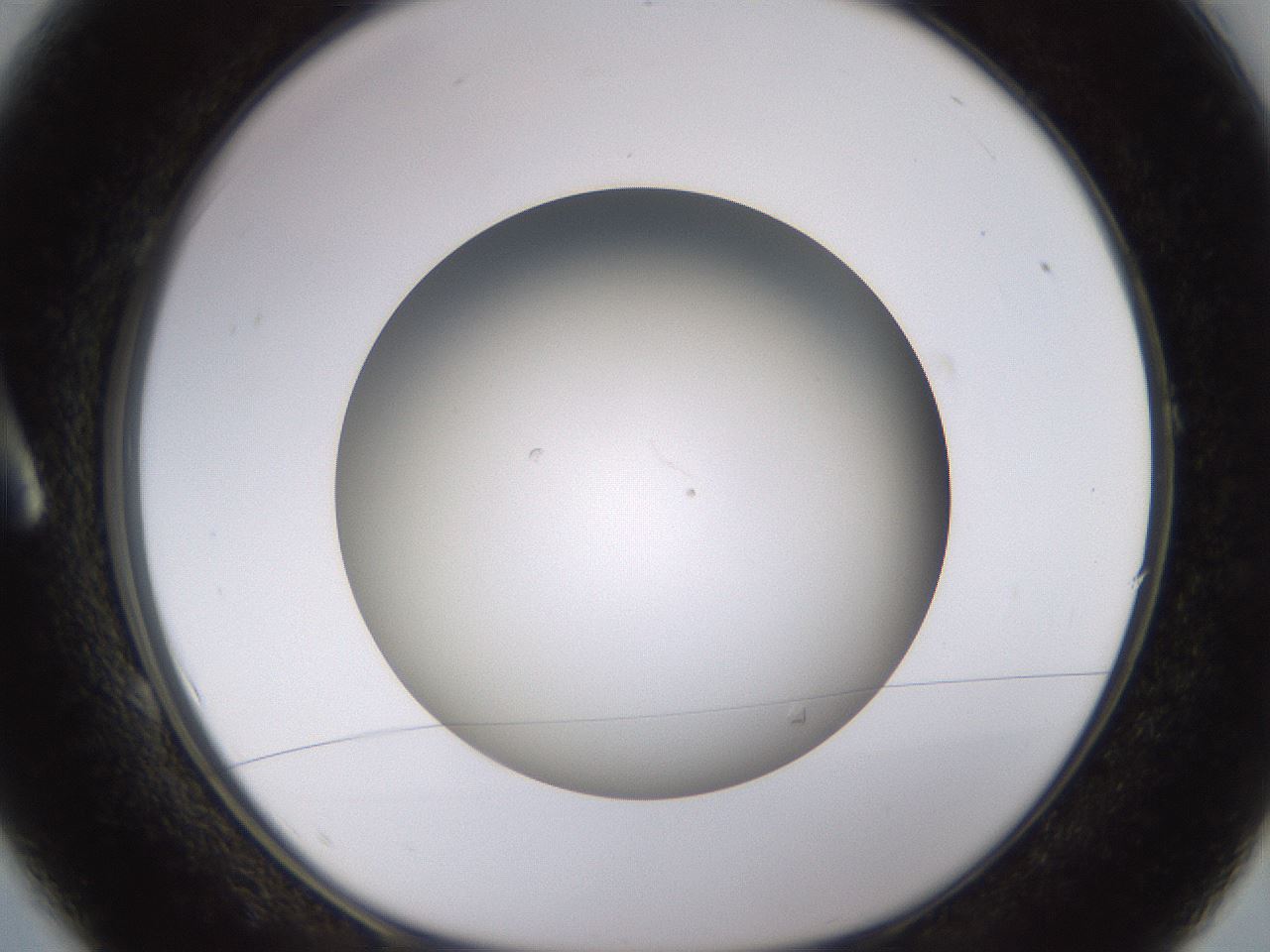 folderID570_plateID1570_batchID6367_wellNum1_profileID1_d1_r102639_ef.jpg