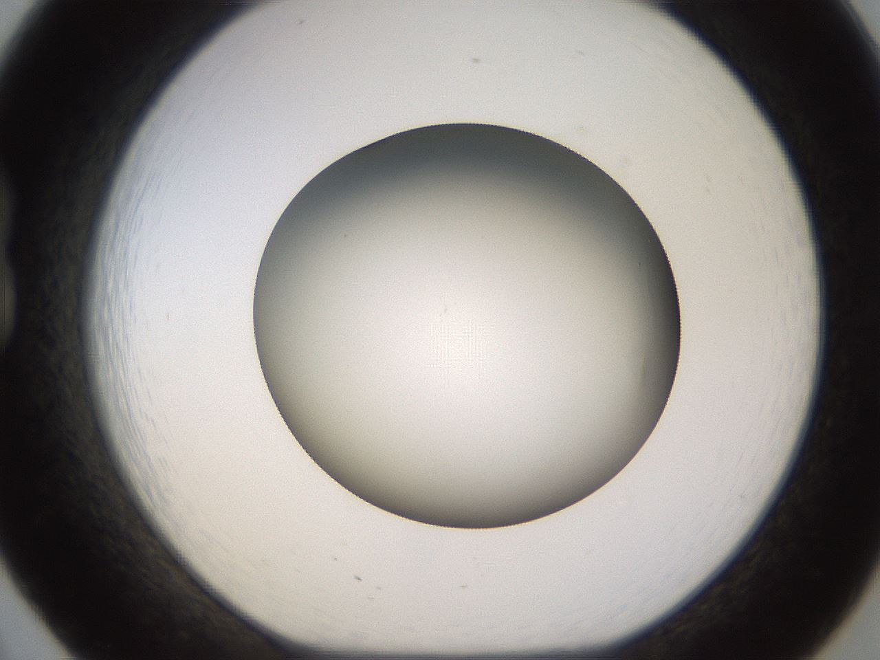 folderID570_plateID1570_batchID6367_wellNum20_profileID1_d1_r102658_ef.jpg