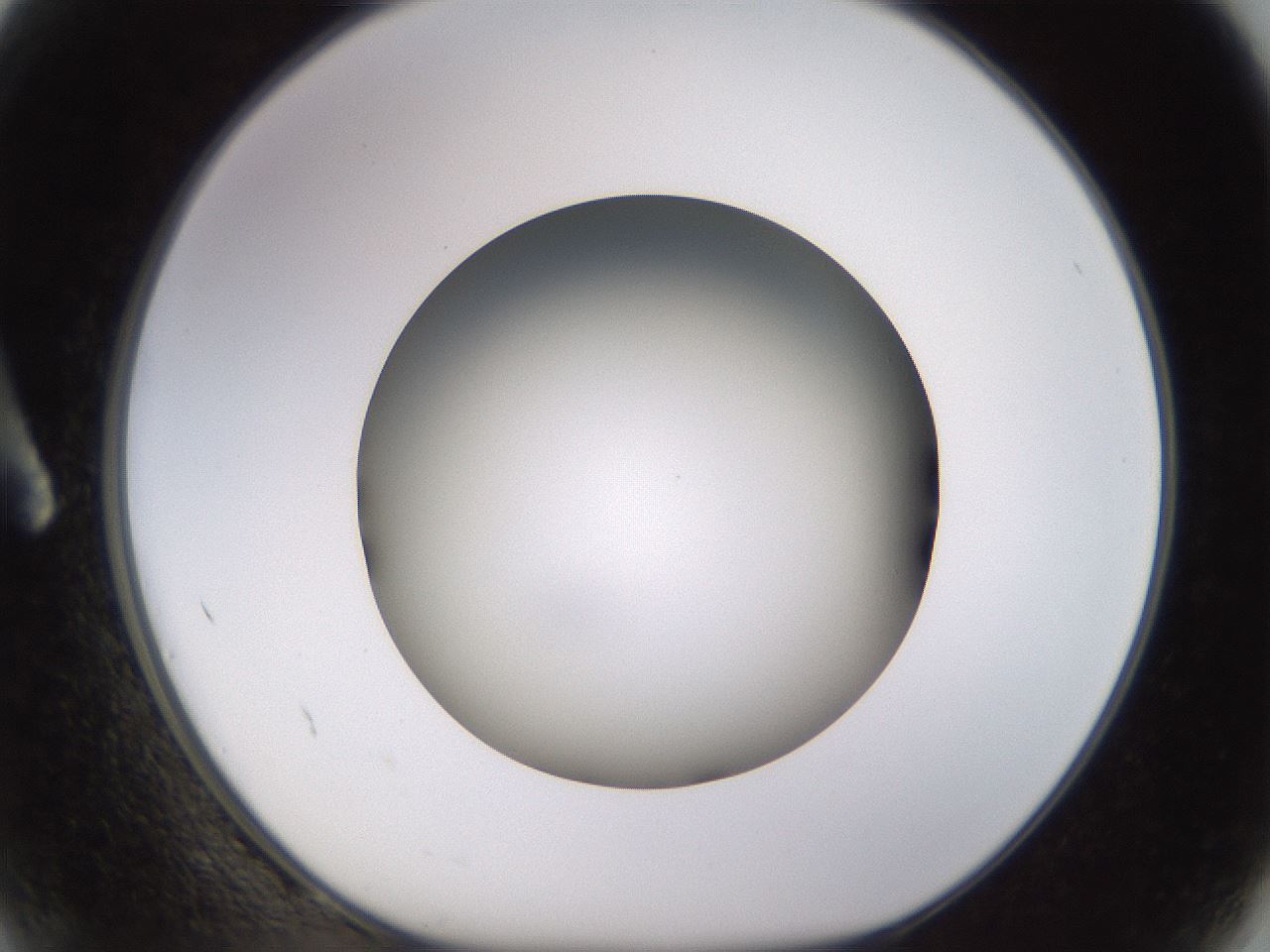 folderID570_plateID1570_batchID6367_wellNum2_profileID1_d1_r102640_ef.jpg