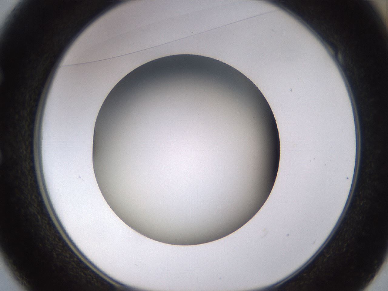folderID570_plateID1570_batchID6367_wellNum49_profileID1_d1_r102687_ef.jpg