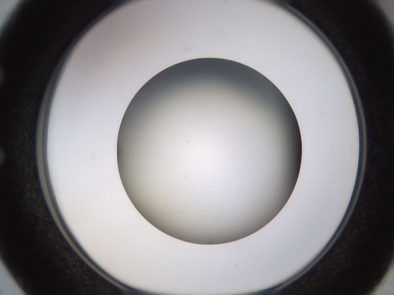 folderID570_plateID1570_batchID6367_wellNum50_profileID1_d1_r102688_ef.jpg
