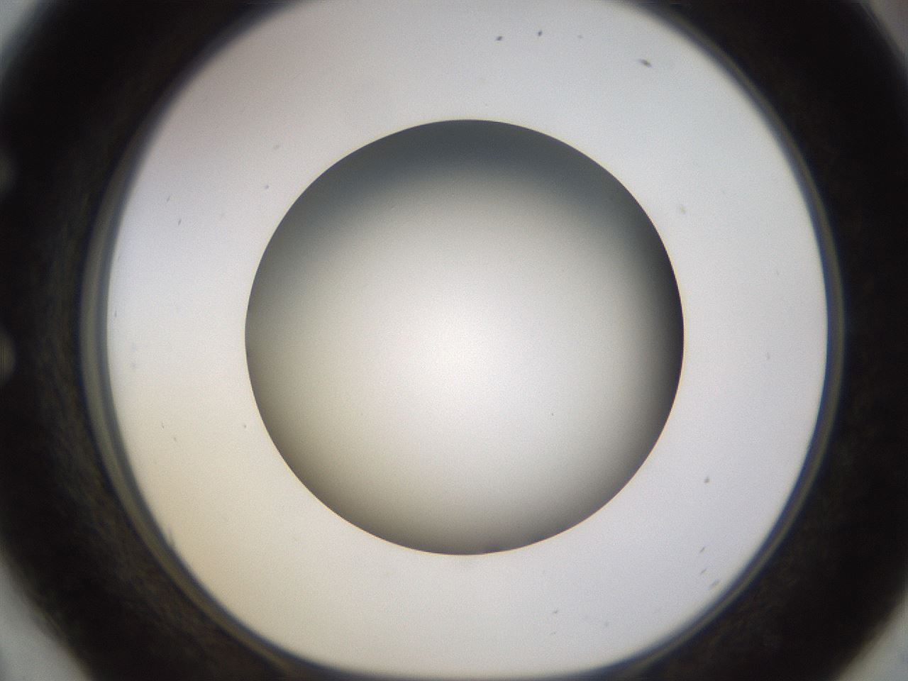 folderID570_plateID1570_batchID6367_wellNum54_profileID1_d1_r102692_ef.jpg