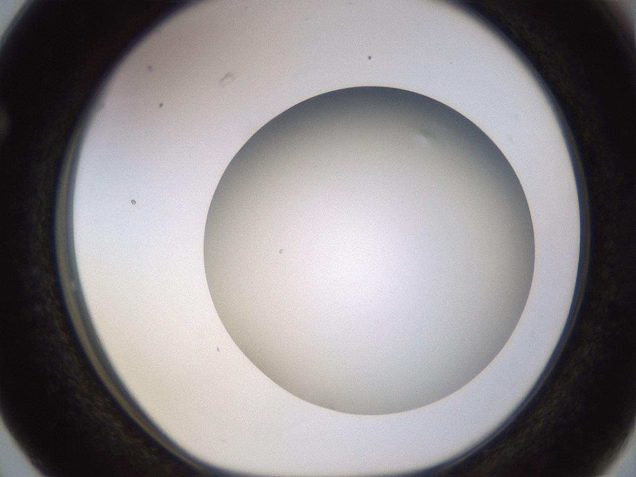 folderID570_plateID1570_batchID6367_wellNum63_profileID1_d1_r102701_ef.jpg