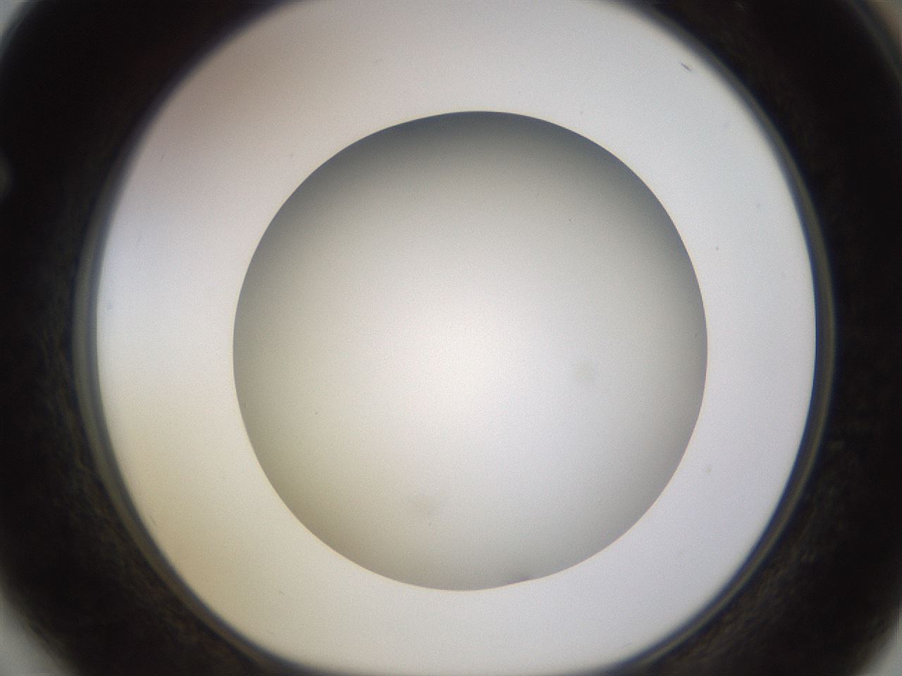 folderID570_plateID1570_batchID6367_wellNum64_profileID1_d1_r102702_ef.jpg