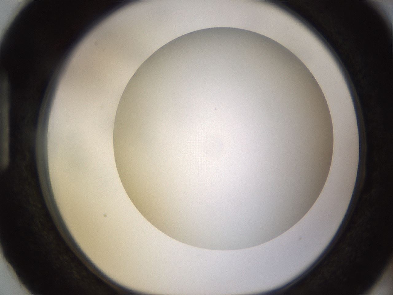 folderID570_plateID1570_batchID6358_wellNum87_profileID1_d1_r102725_ef.jpg
