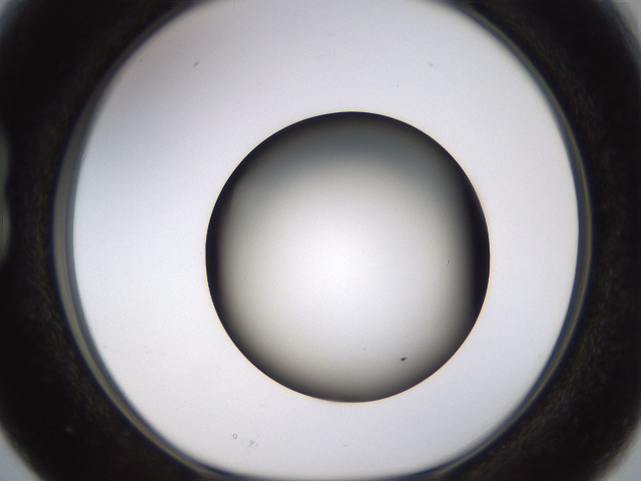 folderID570_plateID1570_batchID6367_wellNum15_profileID1_d1_r102653_ef.jpg