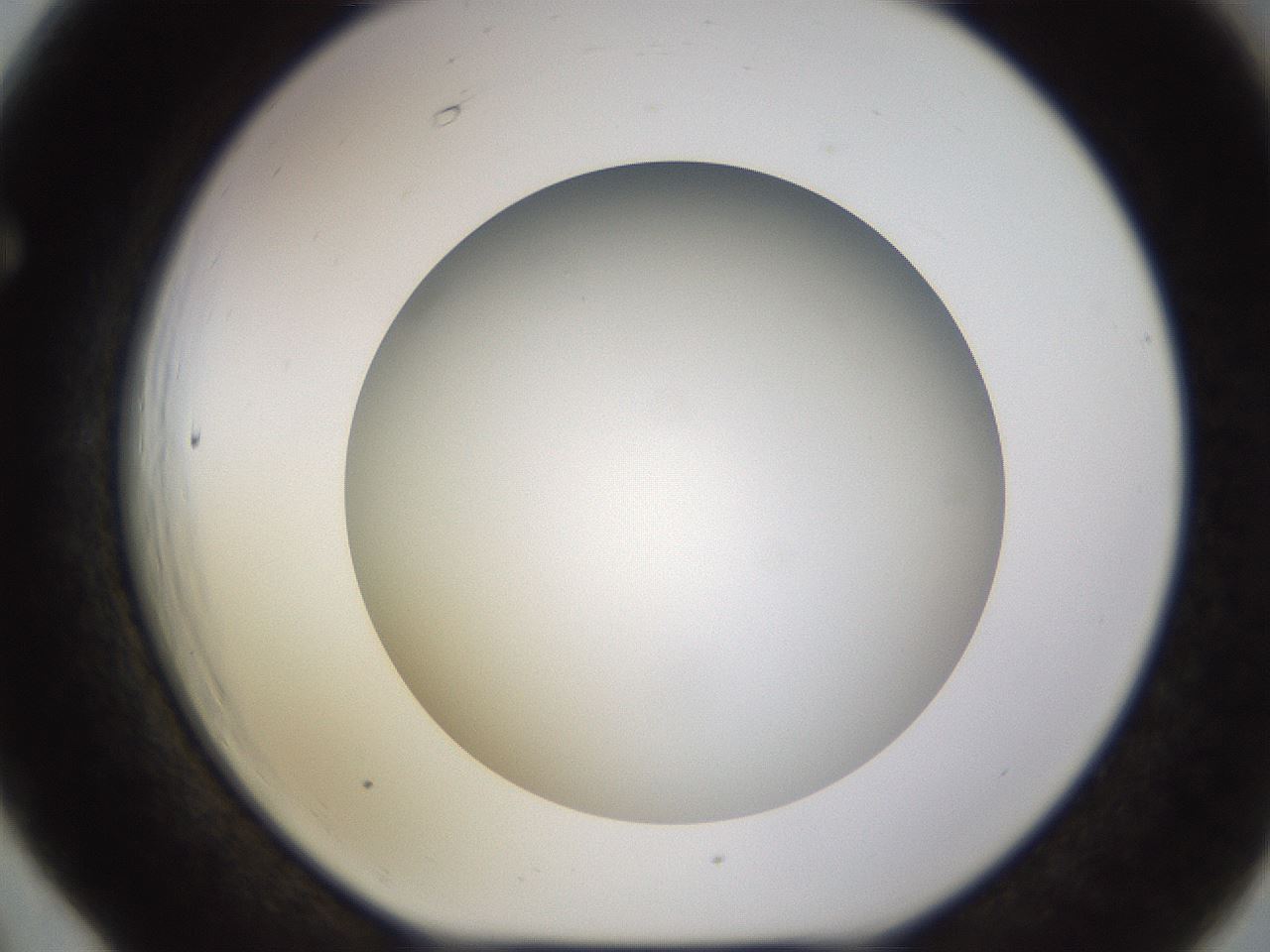 folderID570_plateID1570_batchID6367_wellNum66_profileID1_d1_r102704_ef.jpg