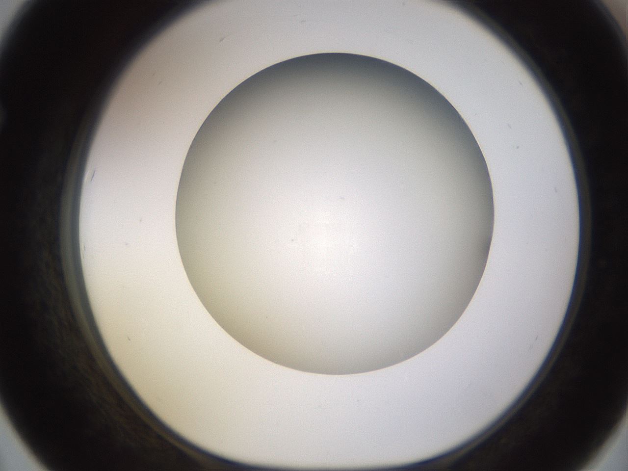 folderID570_plateID1570_batchID6367_wellNum67_profileID1_d1_r102705_ef.jpg
