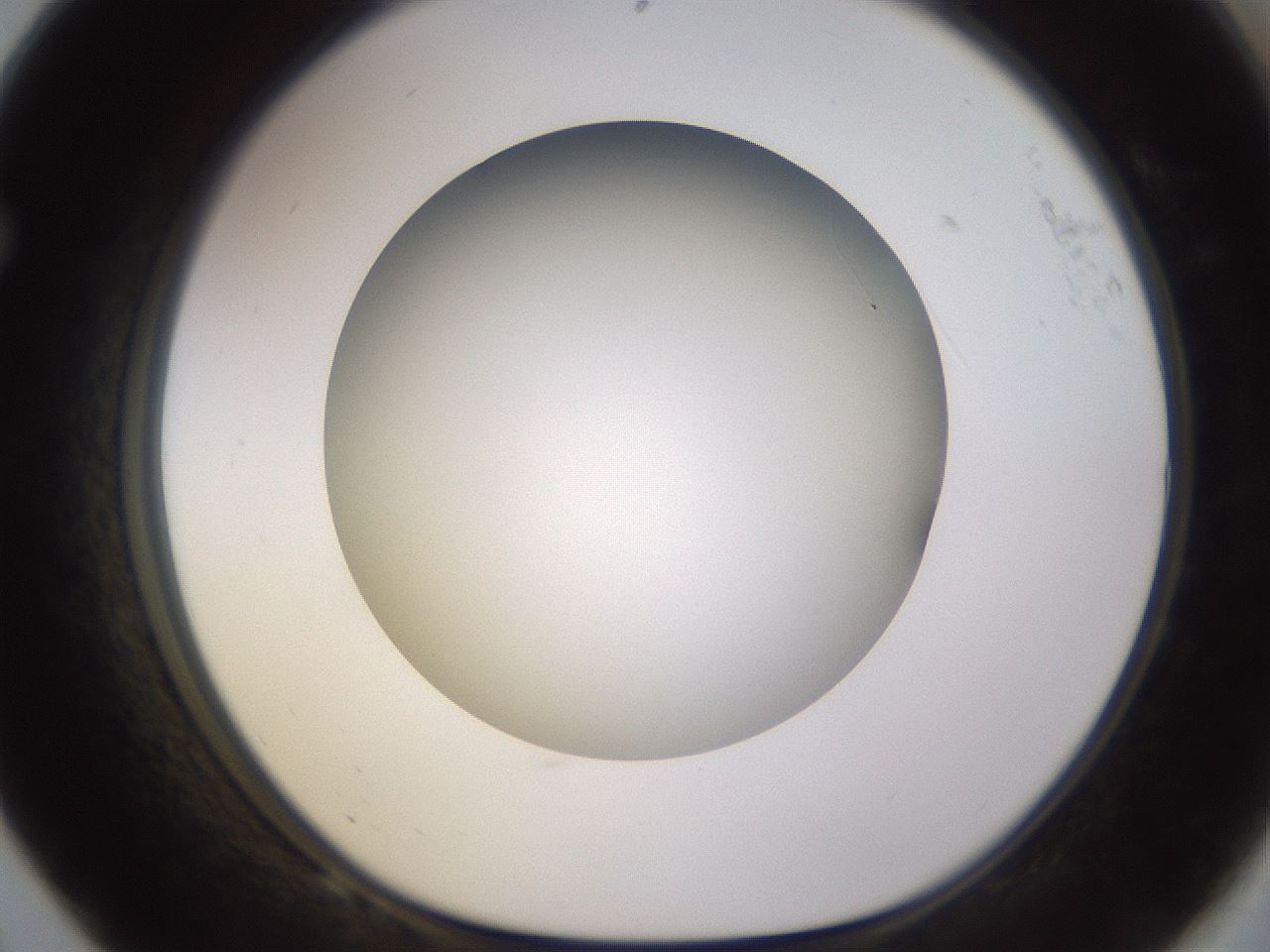 folderID570_plateID1570_batchID6367_wellNum68_profileID1_d1_r102706_ef.jpg