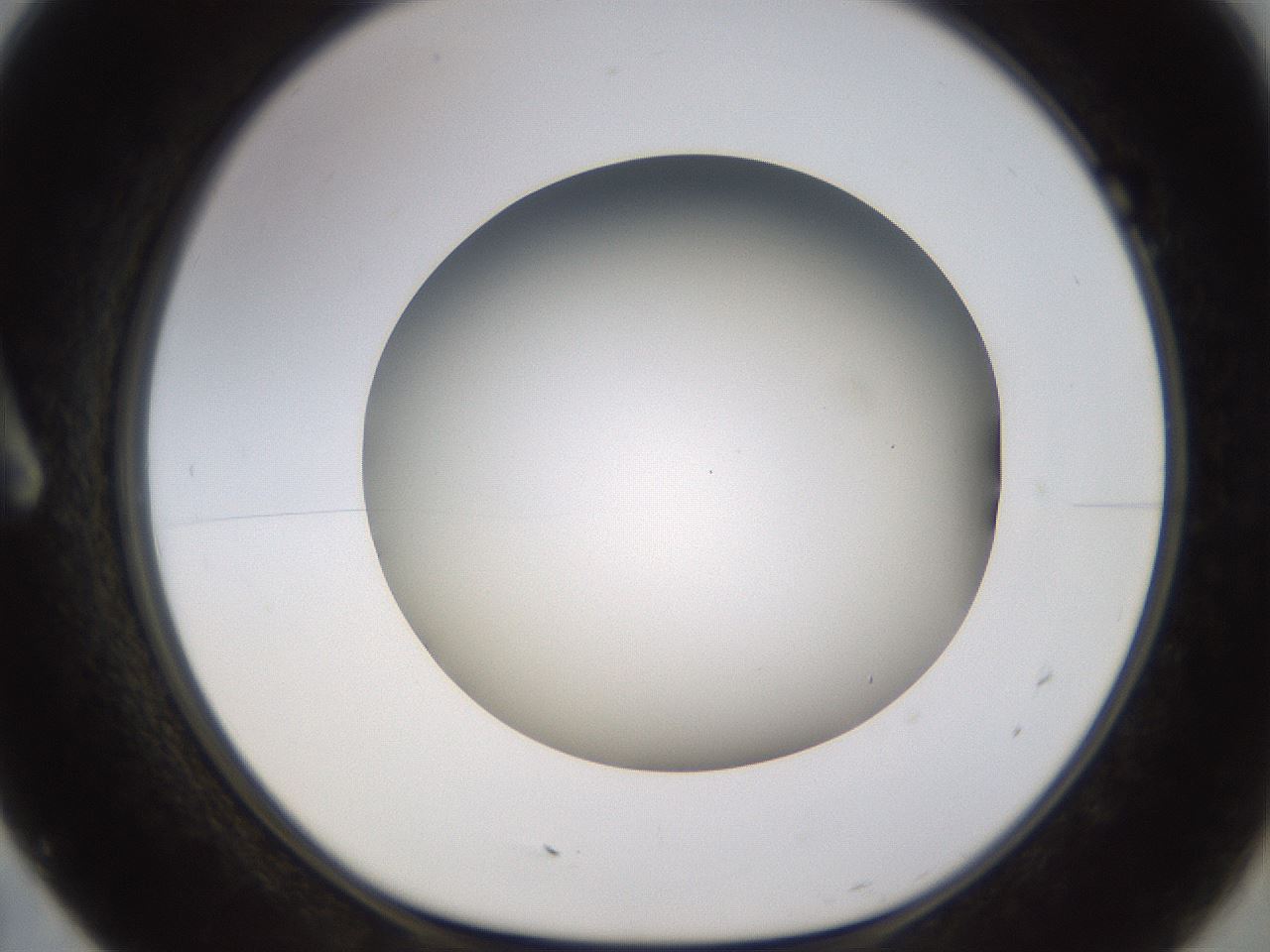 folderID570_plateID1570_batchID6367_wellNum7_profileID1_d1_r102645_ef.jpg