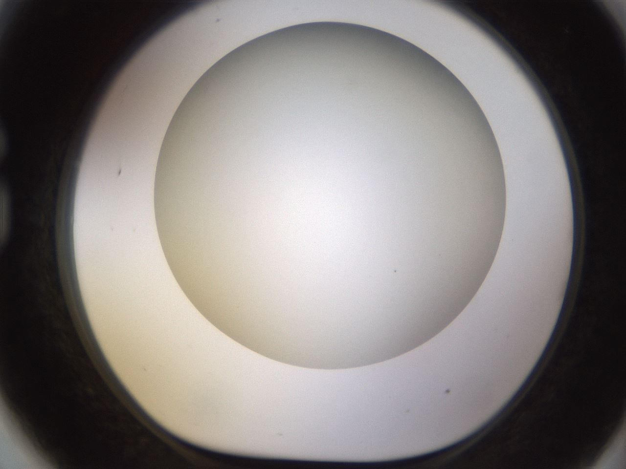 folderID570_plateID1570_batchID6367_wellNum81_profileID1_d1_r102719_ef.jpg