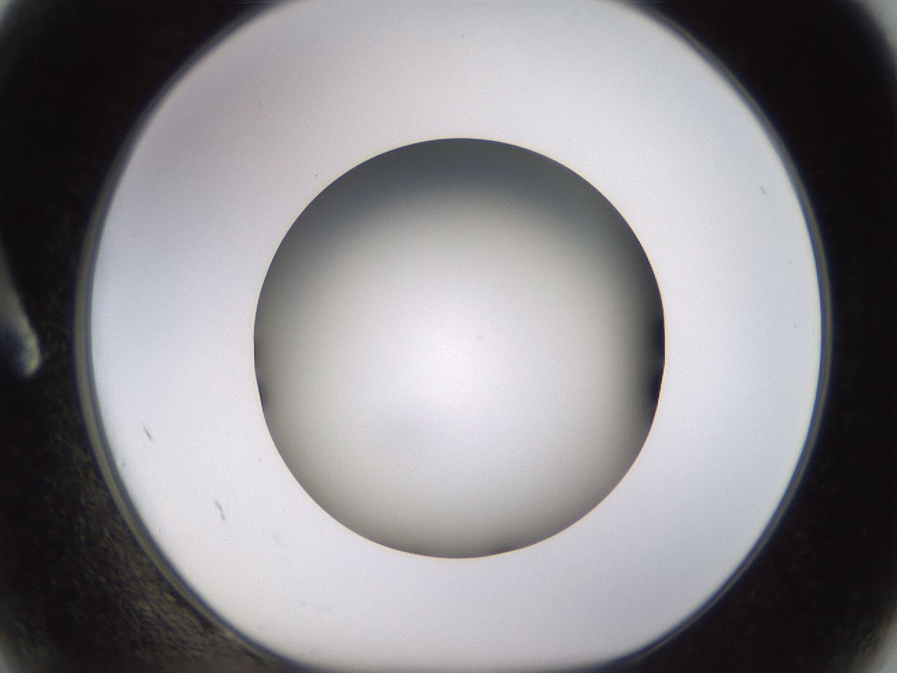 folderID570_plateID1570_batchID6376_wellNum2_profileID1_d1_r102640_ef.jpg