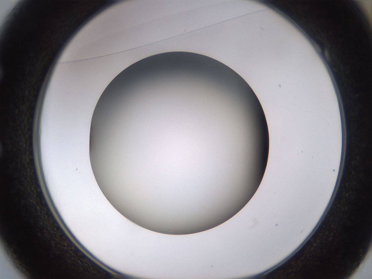 folderID570_plateID1570_batchID6376_wellNum49_profileID1_d1_r102687_ef.jpg