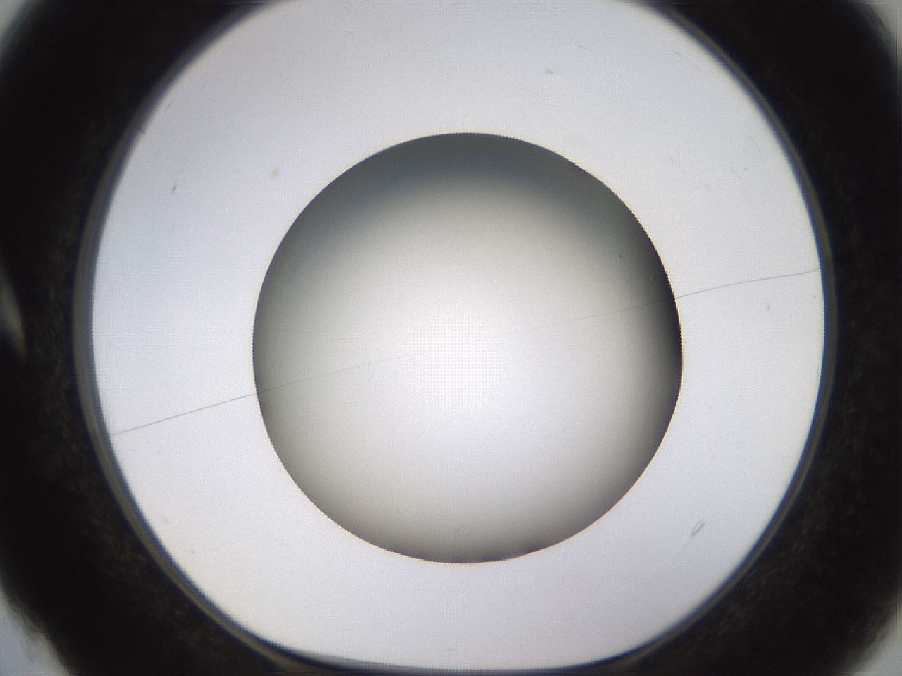 folderID570_plateID1570_batchID6376_wellNum4_profileID1_d1_r102642_ef.jpg