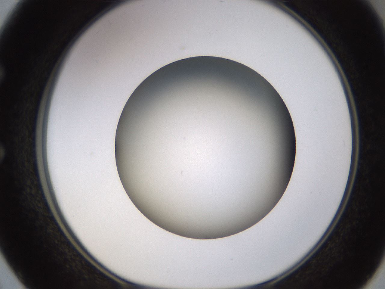 folderID570_plateID1570_batchID6376_wellNum50_profileID1_d1_r102688_ef.jpg