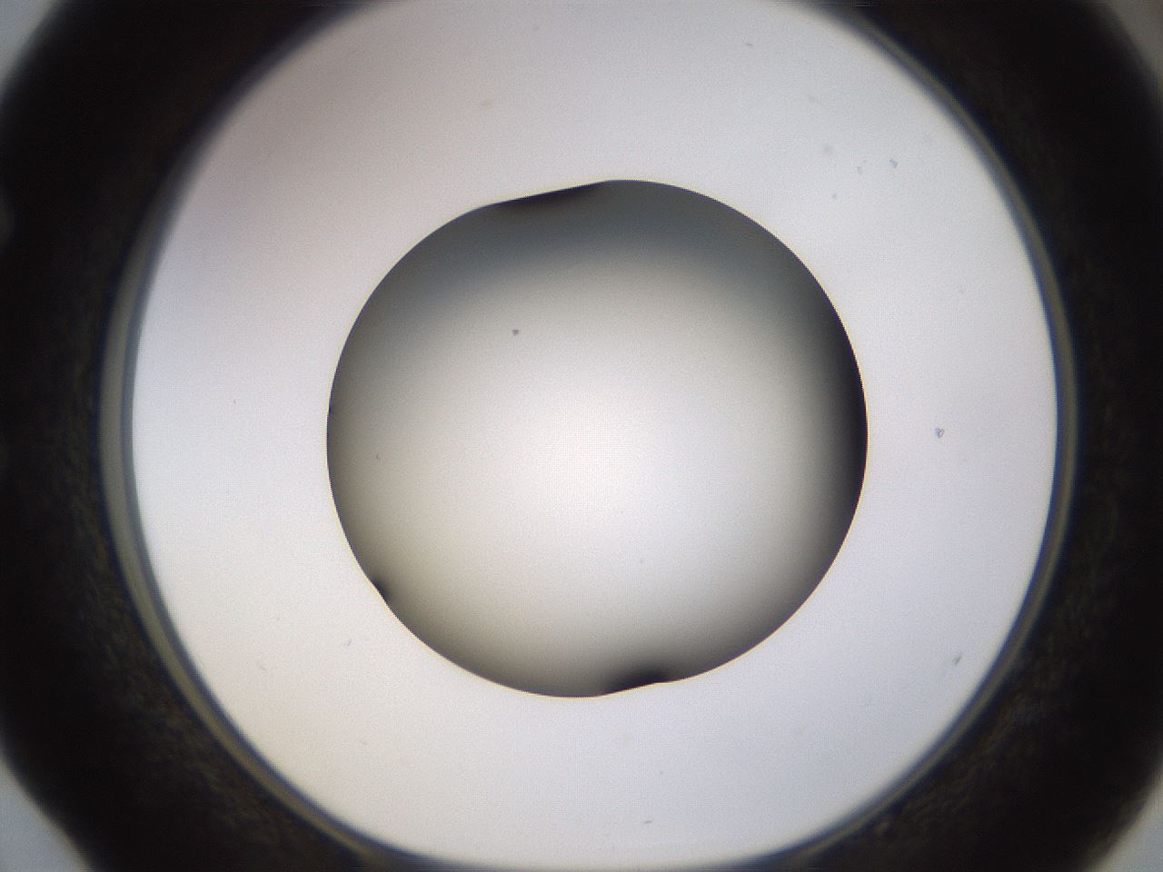 folderID570_plateID1570_batchID6376_wellNum52_profileID1_d1_r102690_ef.jpg