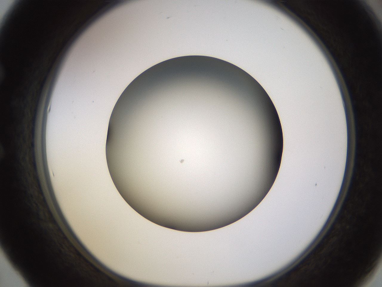 folderID570_plateID1570_batchID6376_wellNum53_profileID1_d1_r102691_ef.jpg