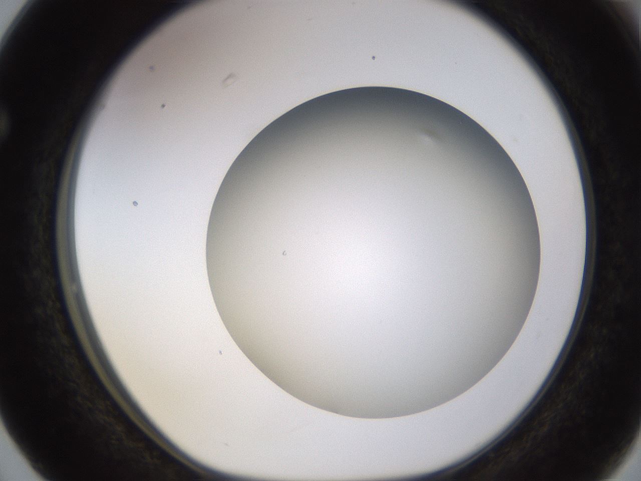 folderID570_plateID1570_batchID6376_wellNum63_profileID1_d1_r102701_ef.jpg