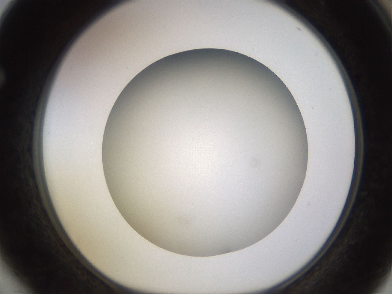 folderID570_plateID1570_batchID6376_wellNum64_profileID1_d1_r102702_ef.jpg