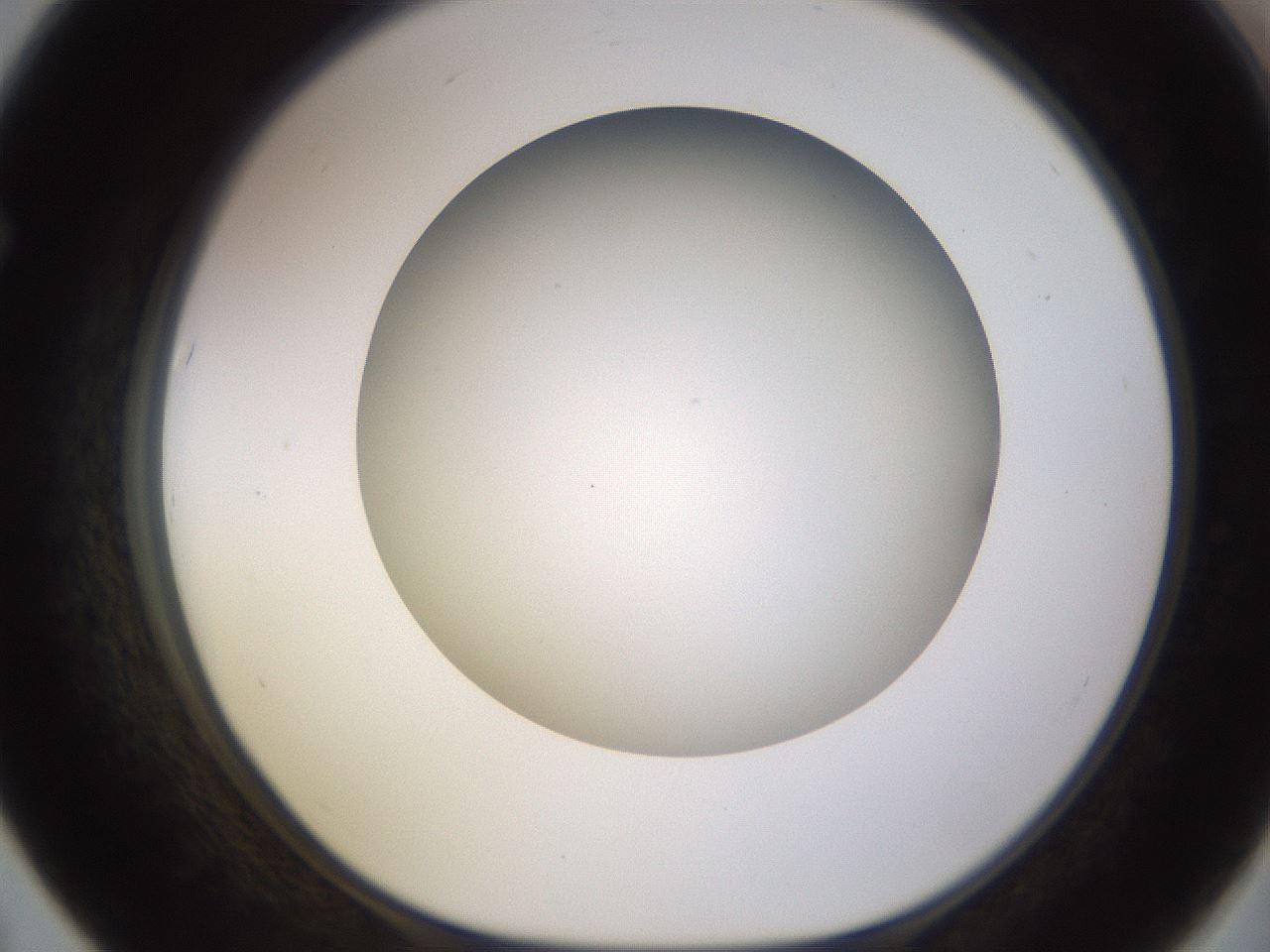 folderID570_plateID1570_batchID6376_wellNum67_profileID1_d1_r102705_ef.jpg