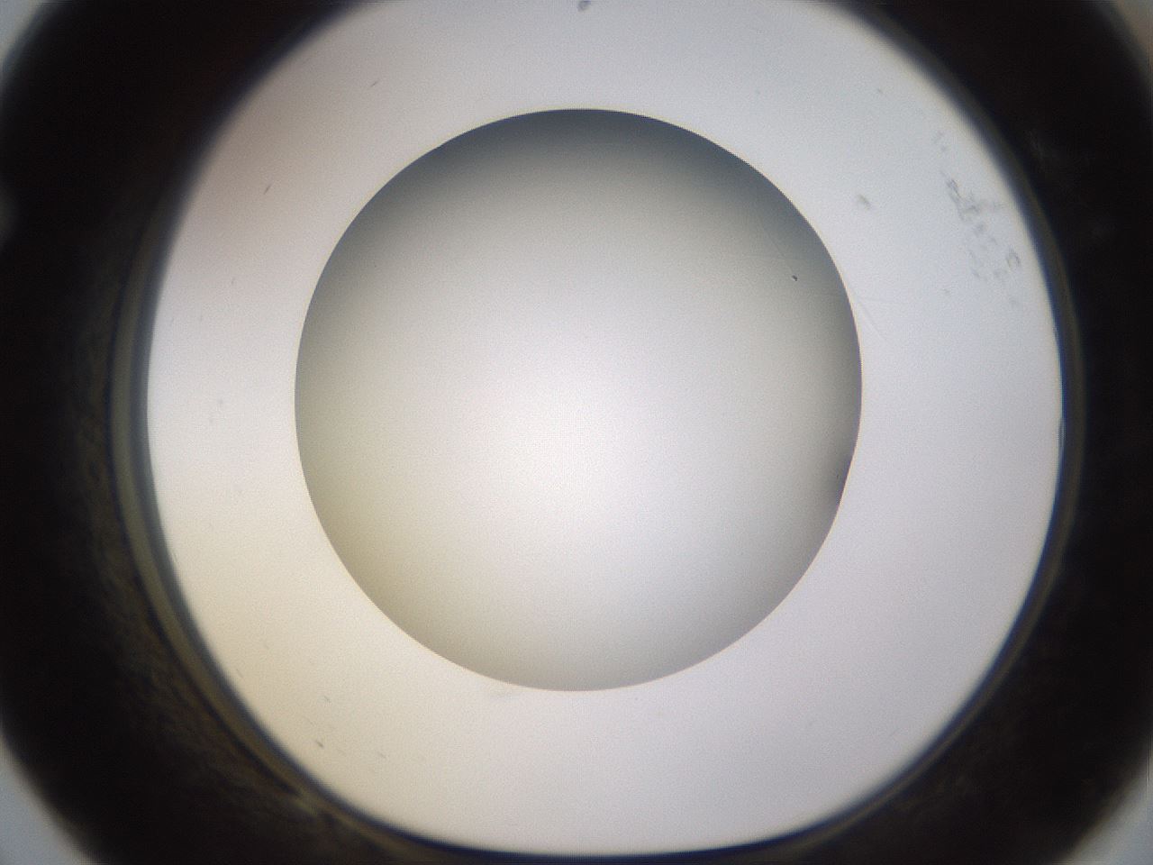 folderID570_plateID1570_batchID6376_wellNum68_profileID1_d1_r102706_ef.jpg