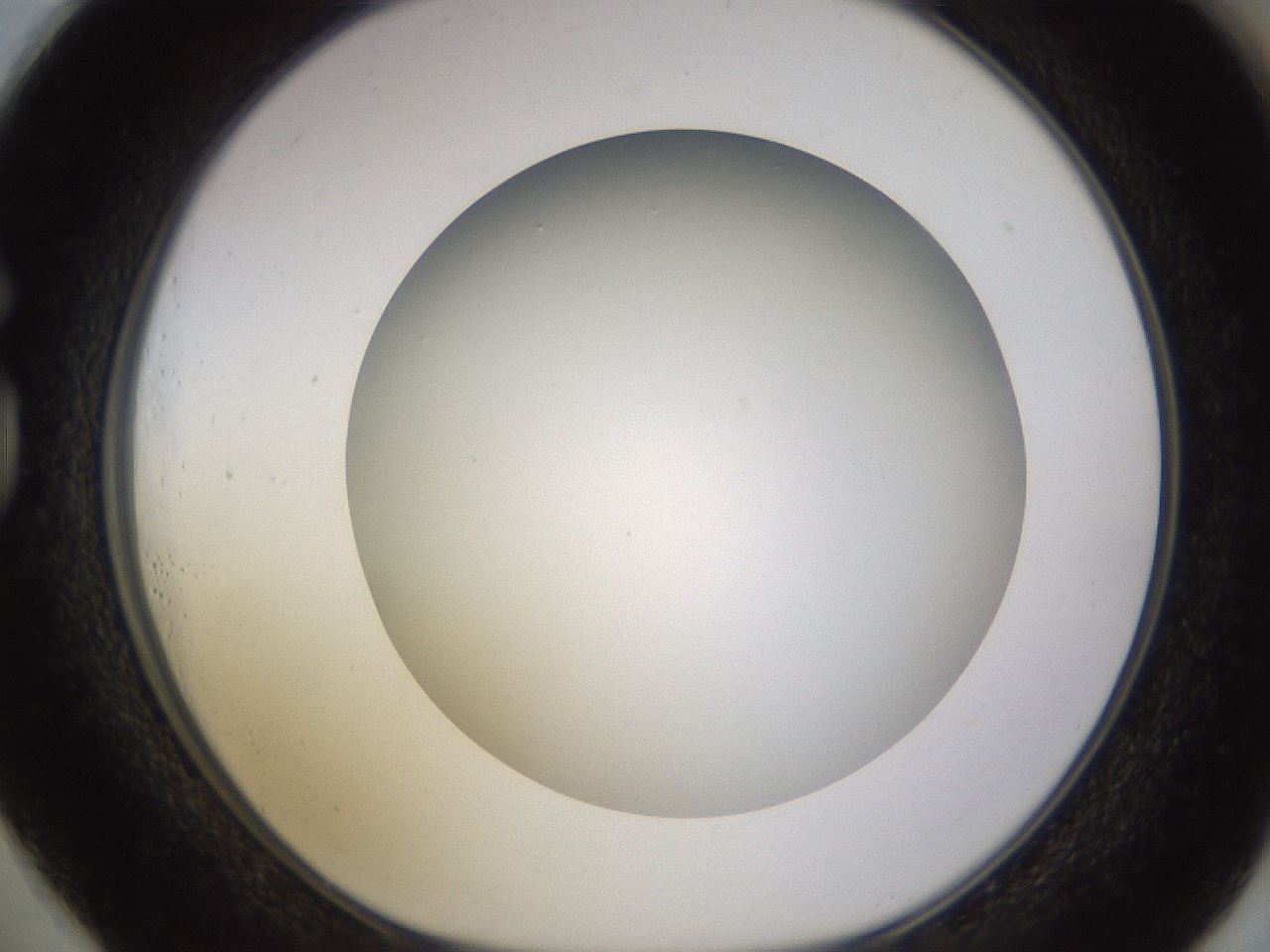 folderID570_plateID1570_batchID6376_wellNum73_profileID1_d1_r102711_ef.jpg