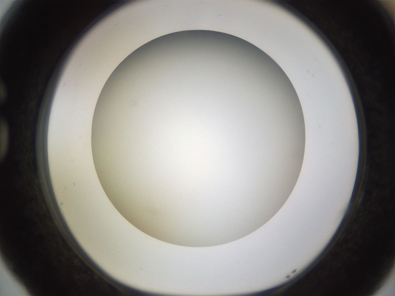 folderID570_plateID1570_batchID6376_wellNum77_profileID1_d1_r102715_ef.jpg
