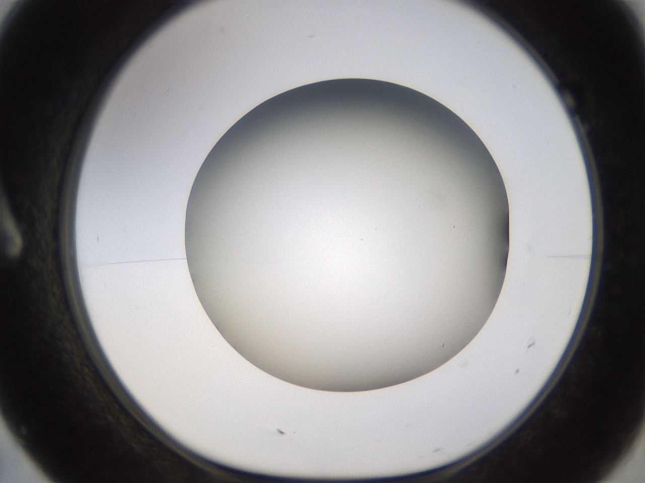 folderID570_plateID1570_batchID6376_wellNum7_profileID1_d1_r102645_ef.jpg