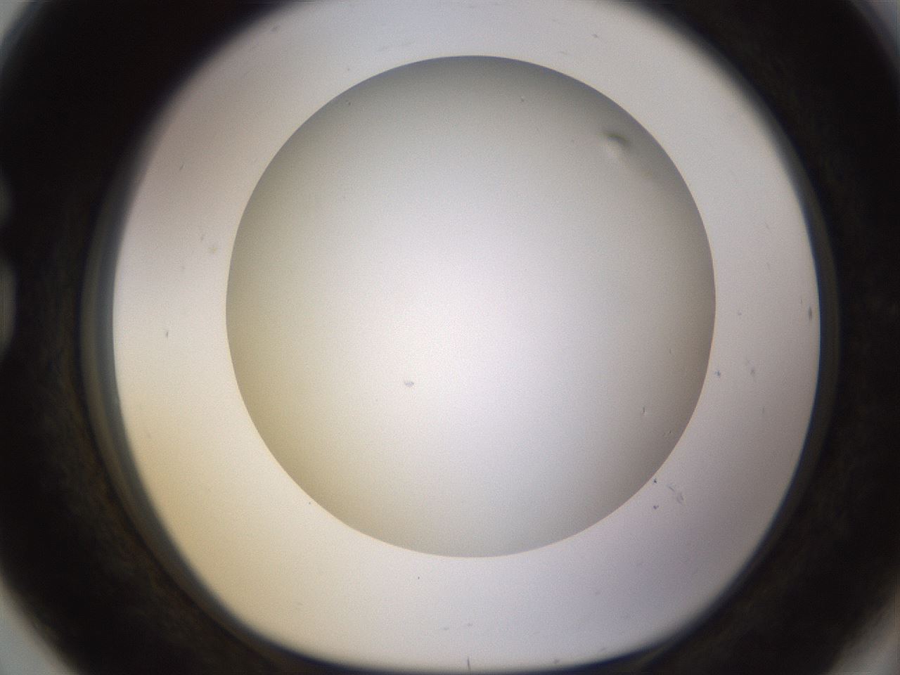 folderID570_plateID1570_batchID6376_wellNum80_profileID1_d1_r102718_ef.jpg