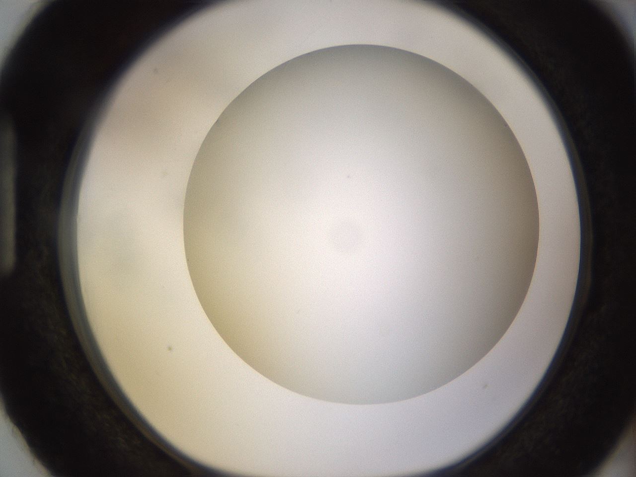folderID570_plateID1570_batchID6376_wellNum87_profileID1_d1_r102725_ef.jpg