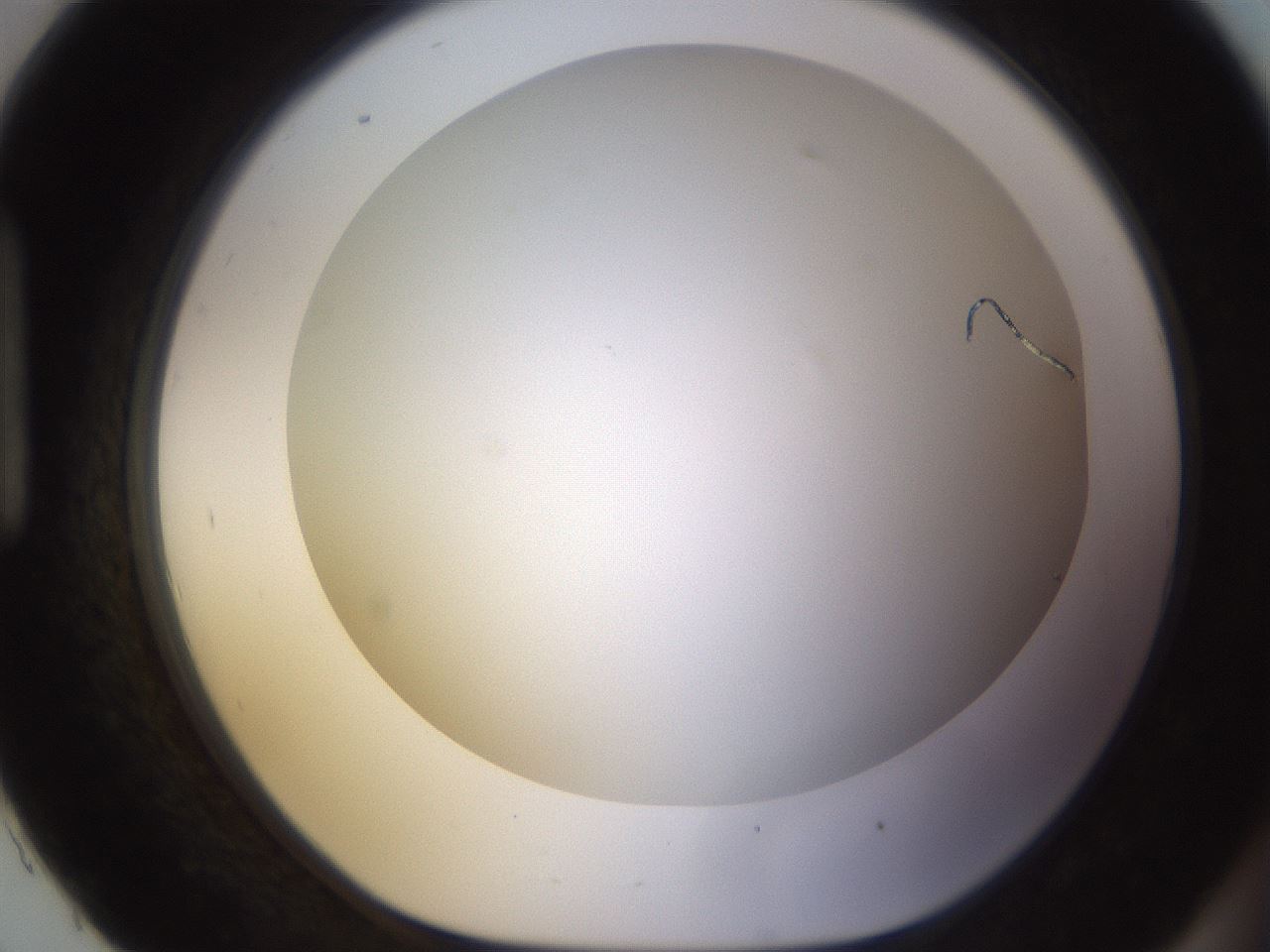 folderID570_plateID1570_batchID6376_wellNum93_profileID1_d1_r102731_ef.jpg