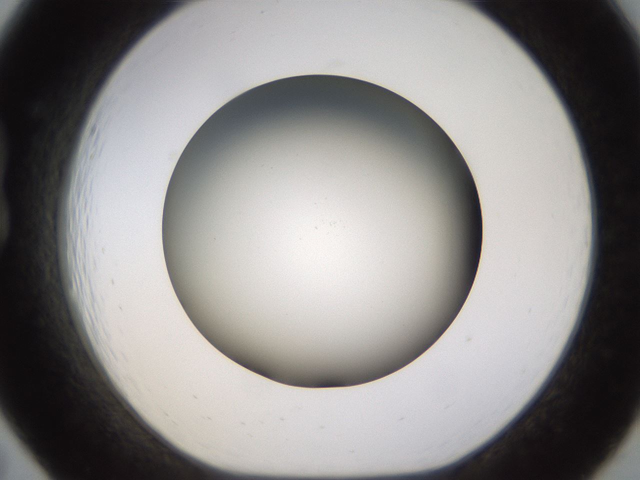 folderID571_plateID1571_batchID6357_wellNum19_profileID1_d1_r102561_ef.jpg