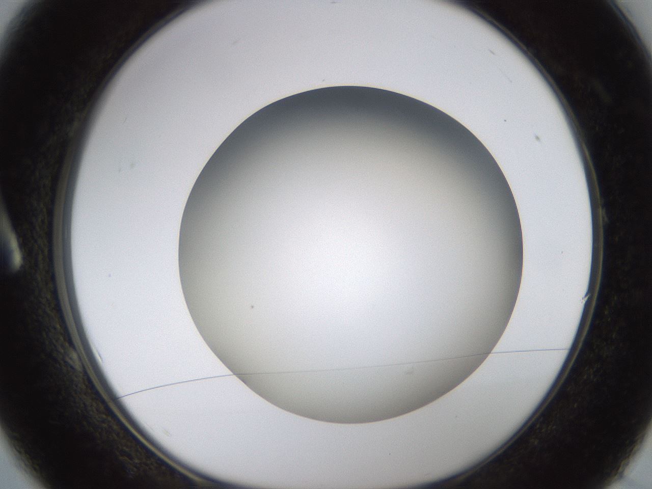 folderID571_plateID1571_batchID6357_wellNum1_profileID1_d1_r102543_ef.jpg
