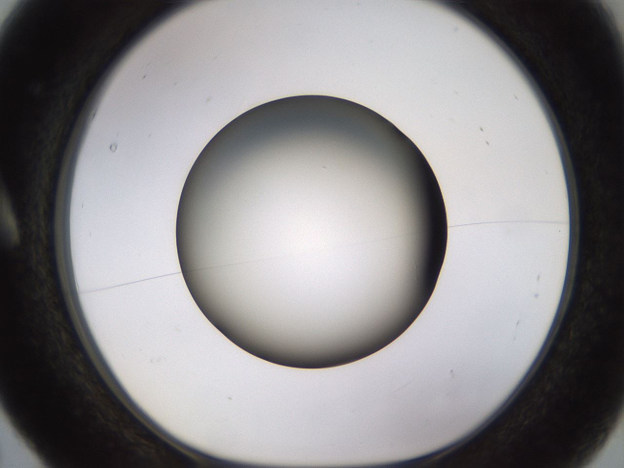 folderID570_plateID1570_batchID6376_wellNum5_profileID1_d1_r102643_ef.jpg