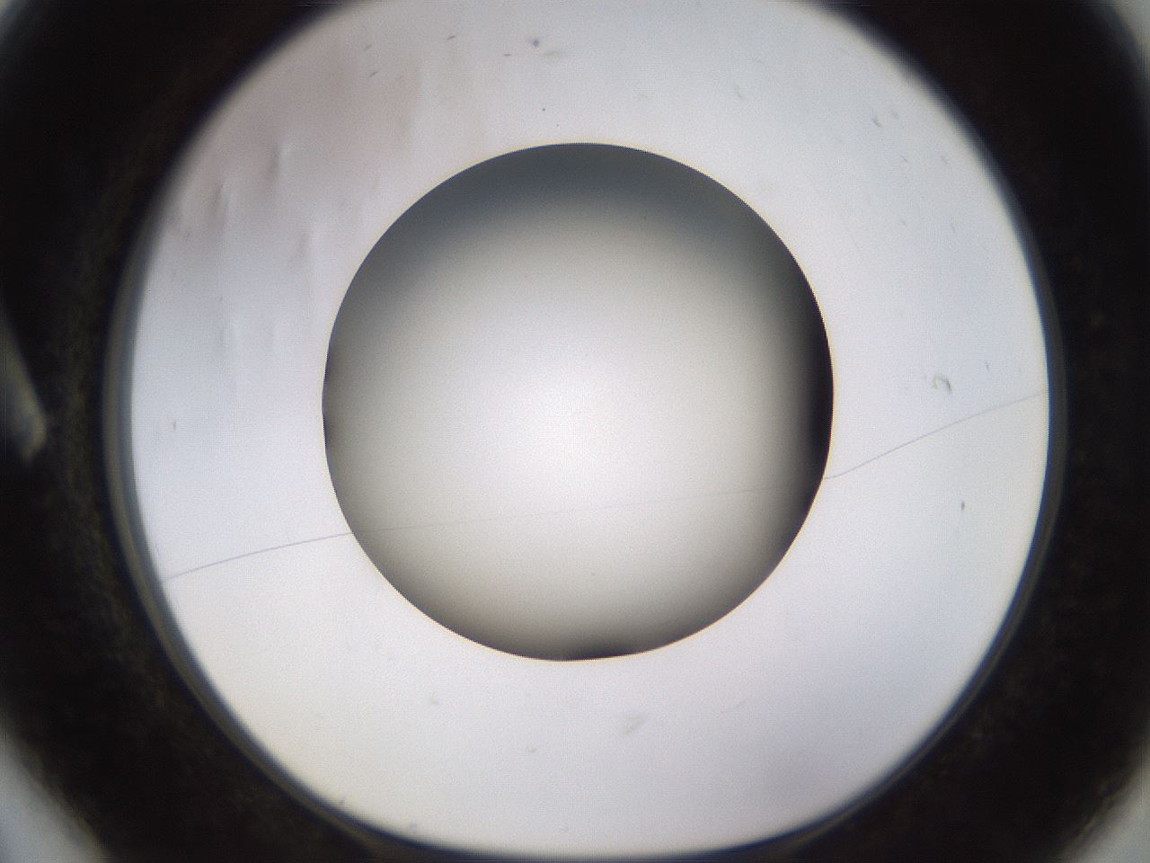 folderID570_plateID1570_batchID6376_wellNum6_profileID1_d1_r102644_ef.jpg