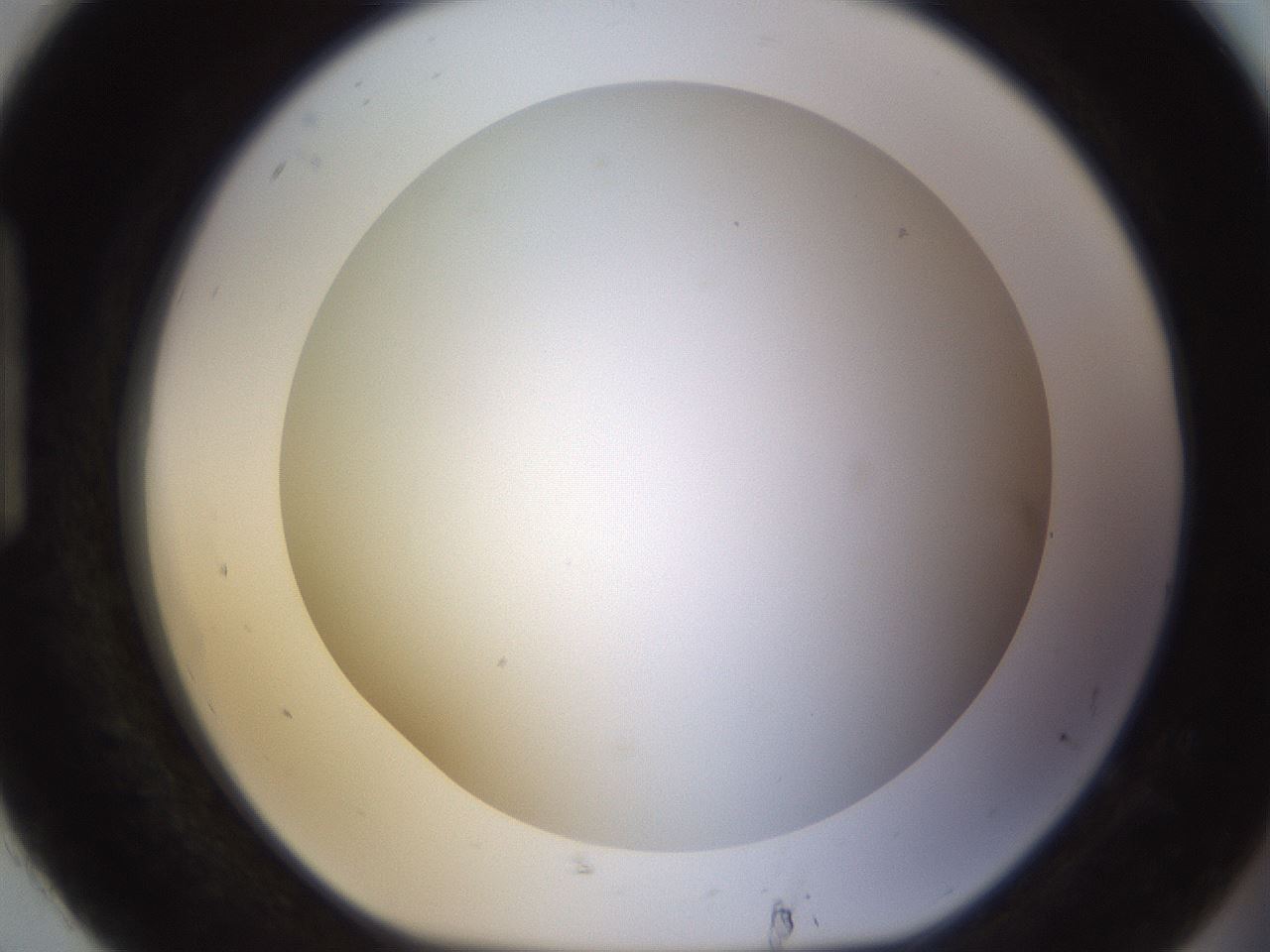 folderID570_plateID1570_batchID6376_wellNum92_profileID1_d1_r102730_ef.jpg