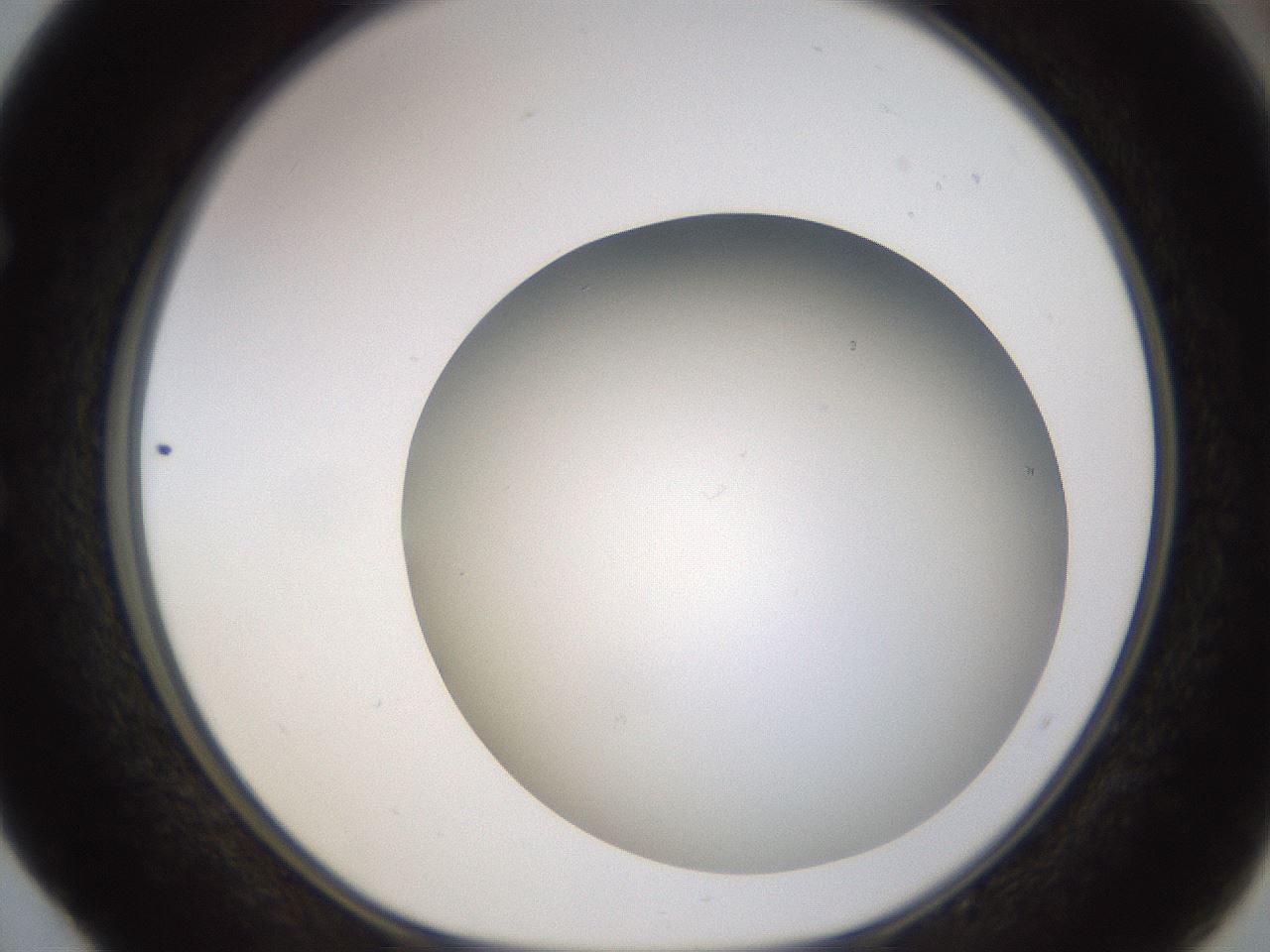 folderID571_plateID1571_batchID6357_wellNum52_profileID1_d1_r102594_ef.jpg
