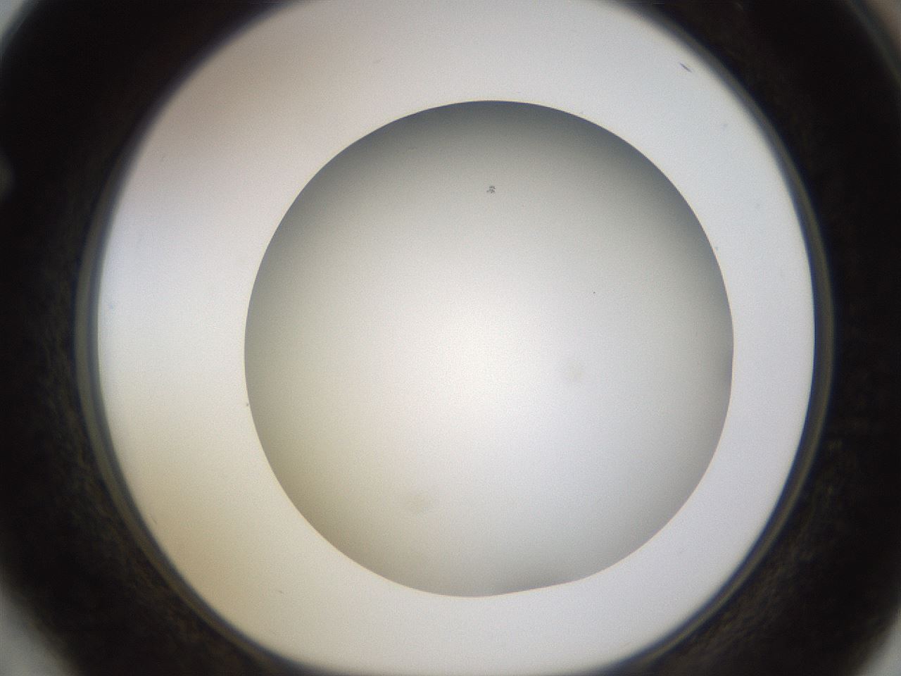 folderID571_plateID1571_batchID6357_wellNum64_profileID1_d1_r102606_ef.jpg