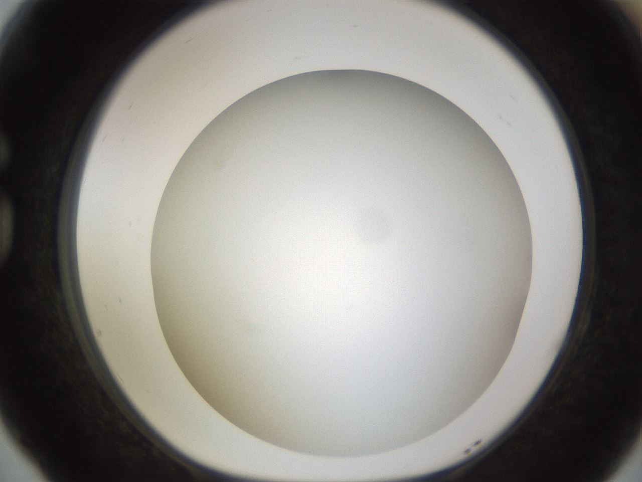 folderID571_plateID1571_batchID6357_wellNum77_profileID1_d1_r102619_ef.jpg