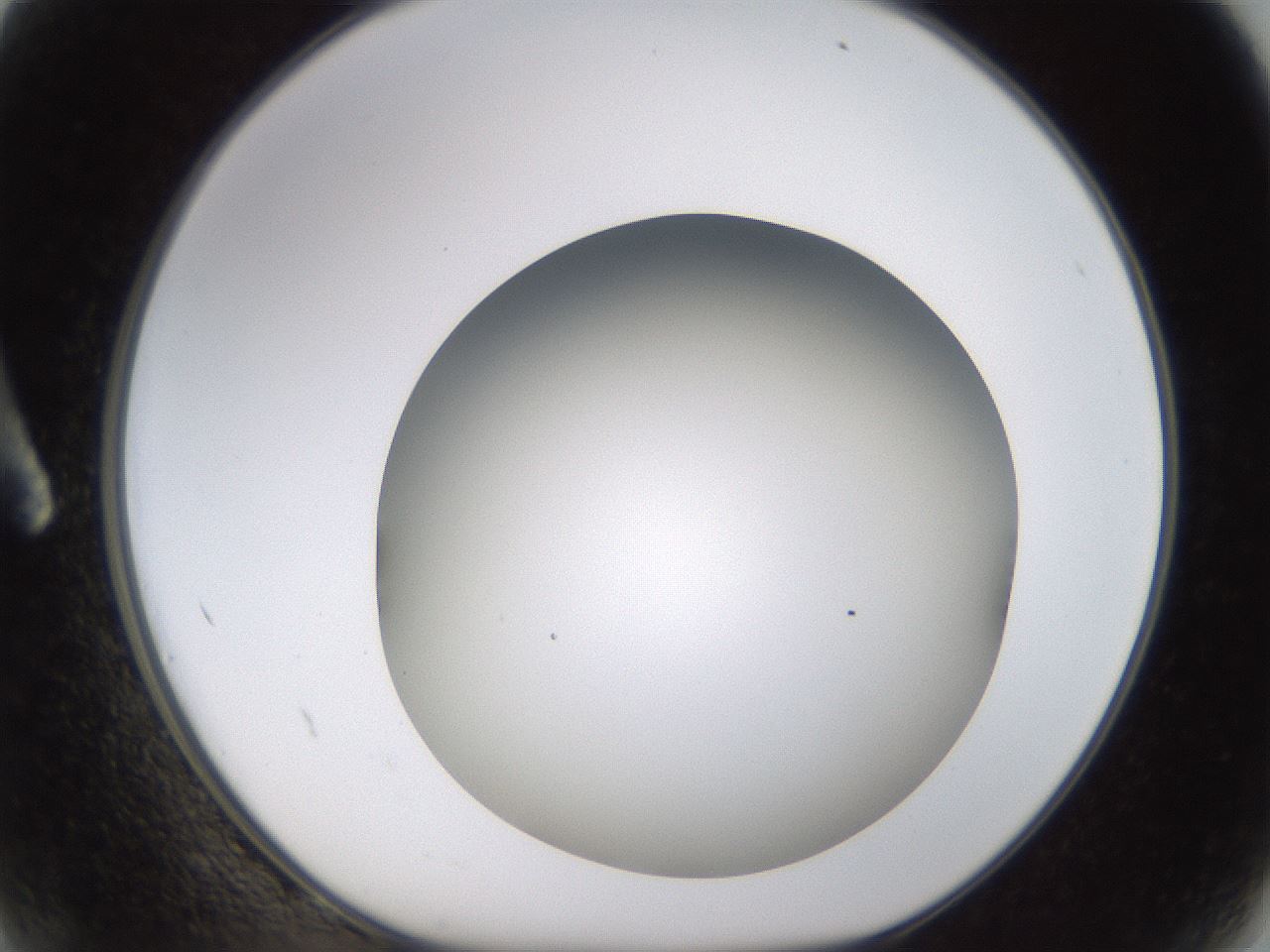 folderID571_plateID1571_batchID6357_wellNum2_profileID1_d1_r102544_ef.jpg