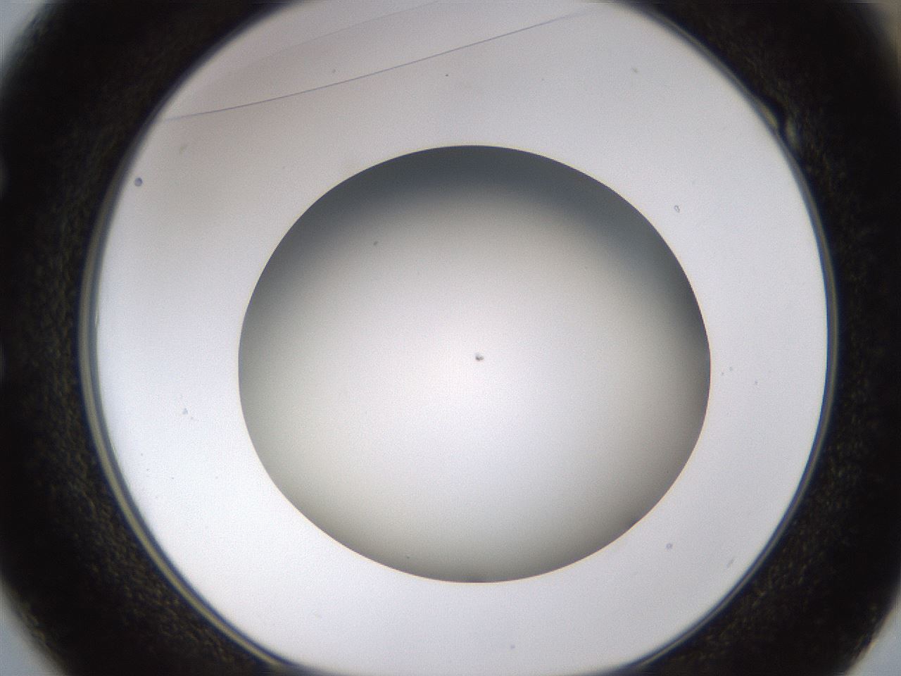 folderID571_plateID1571_batchID6357_wellNum49_profileID1_d1_r102591_ef.jpg
