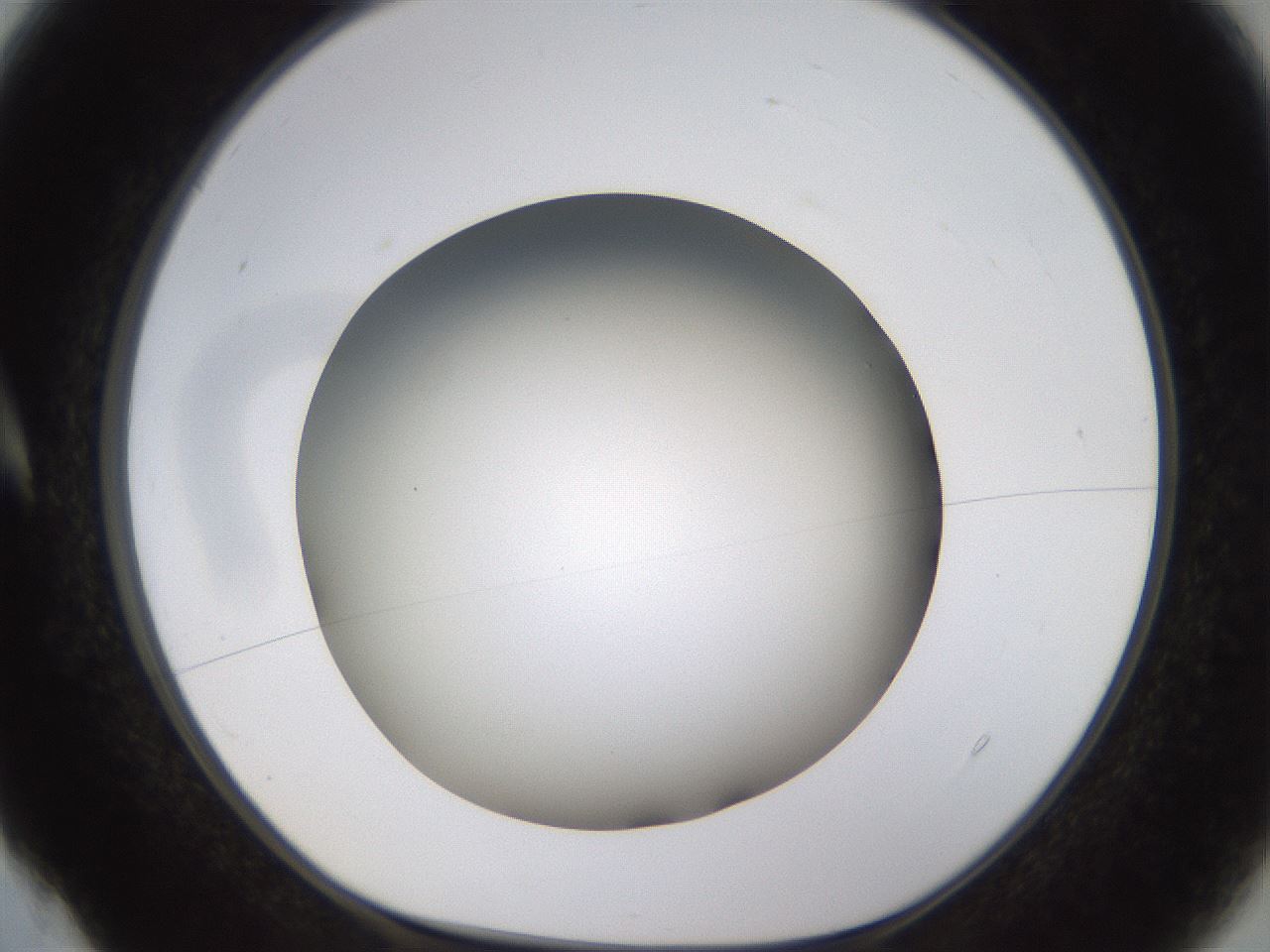 folderID571_plateID1571_batchID6357_wellNum4_profileID1_d1_r102546_ef.jpg