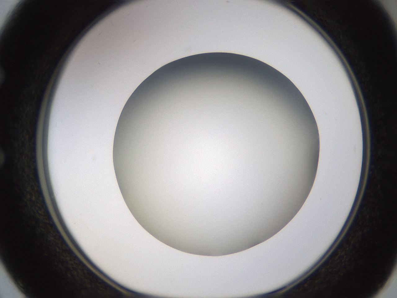 folderID571_plateID1571_batchID6357_wellNum50_profileID1_d1_r102592_ef.jpg