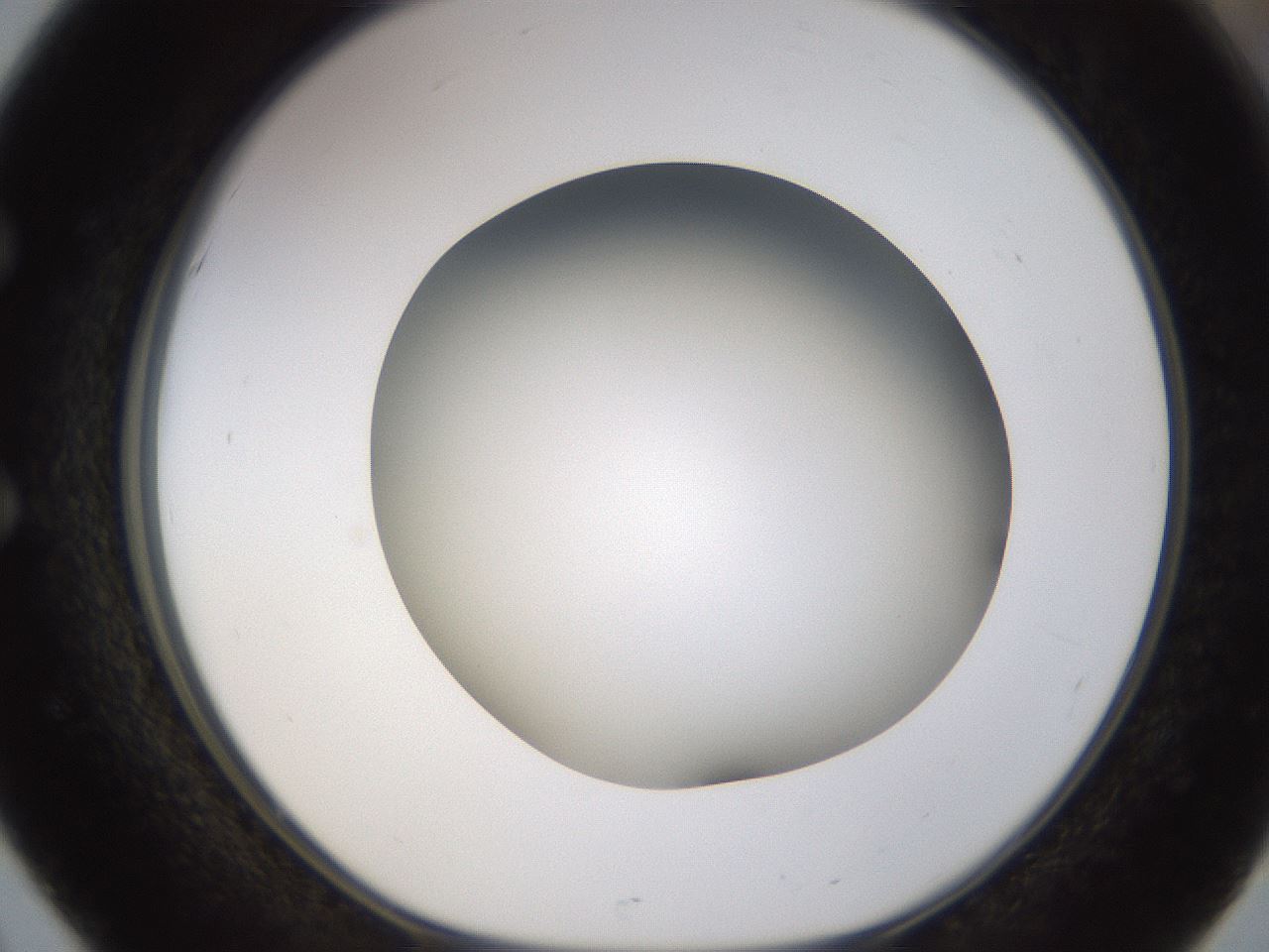 folderID571_plateID1571_batchID6357_wellNum51_profileID1_d1_r102593_ef.jpg
