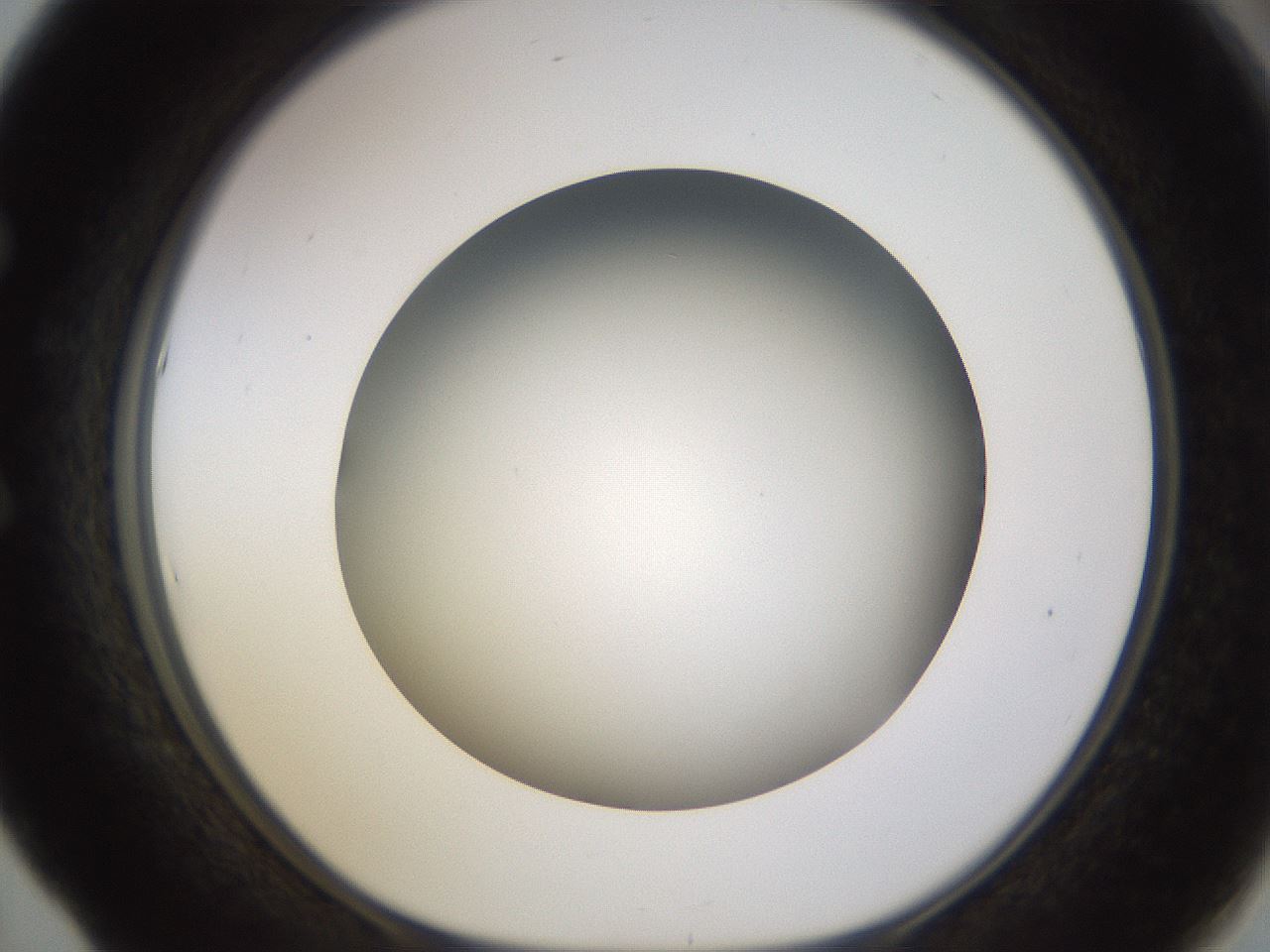 folderID571_plateID1571_batchID6357_wellNum53_profileID1_d1_r102595_ef.jpg