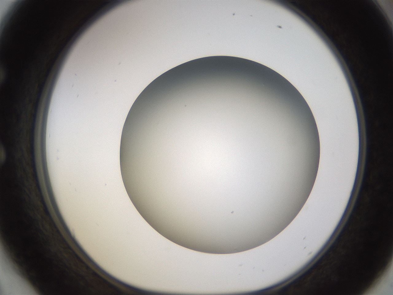 folderID571_plateID1571_batchID6357_wellNum54_profileID1_d1_r102596_ef.jpg