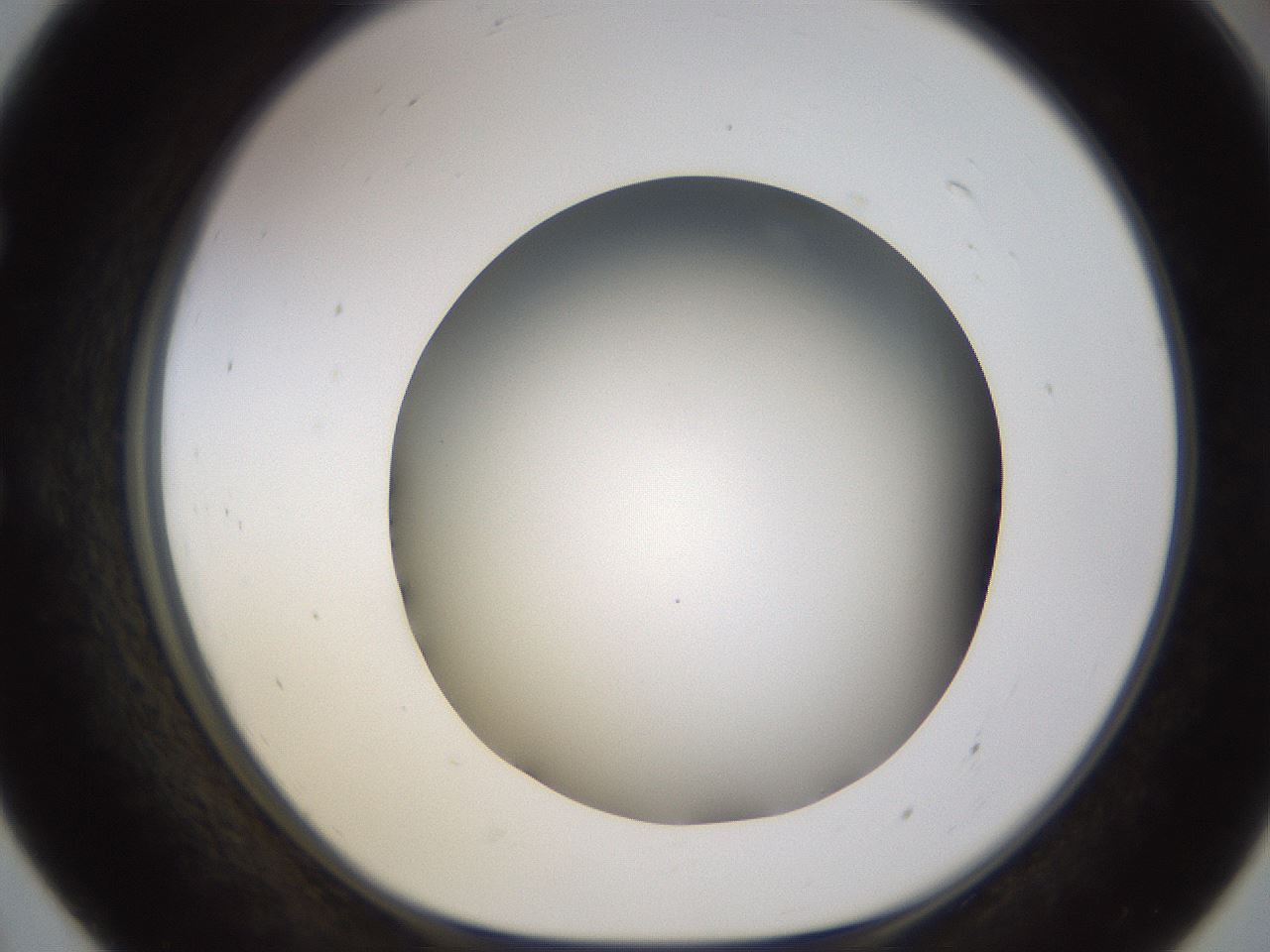 folderID571_plateID1571_batchID6357_wellNum55_profileID1_d1_r102597_ef.jpg
