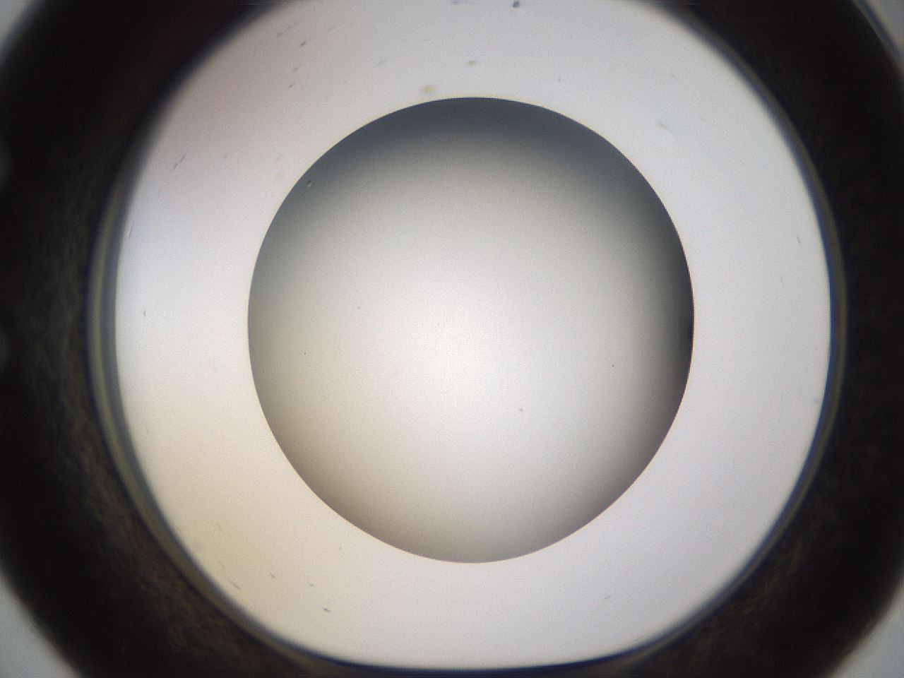folderID571_plateID1571_batchID6357_wellNum56_profileID1_d1_r102598_ef.jpg