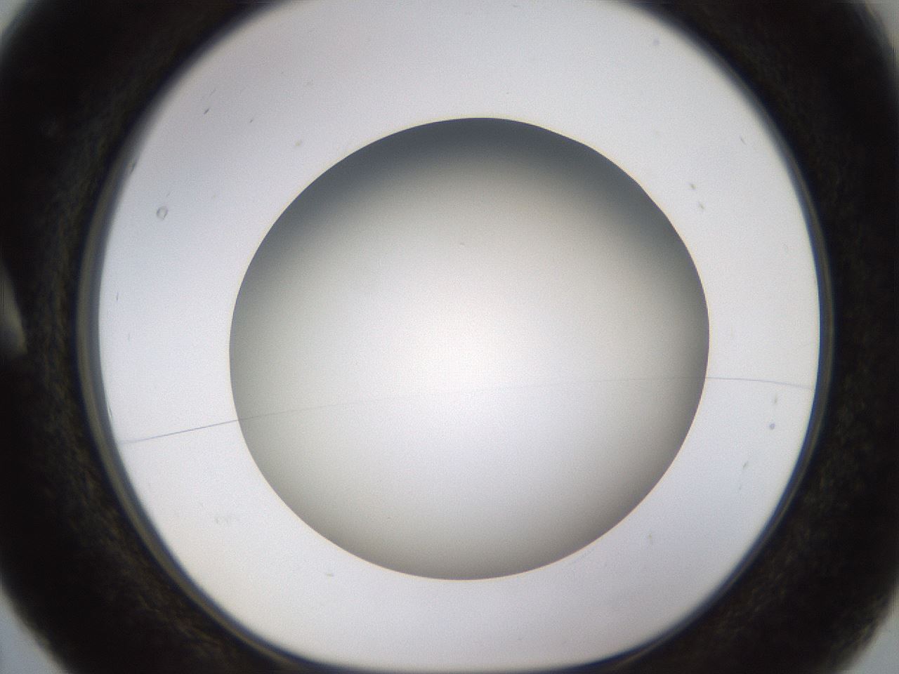 folderID571_plateID1571_batchID6357_wellNum5_profileID1_d1_r102547_ef.jpg