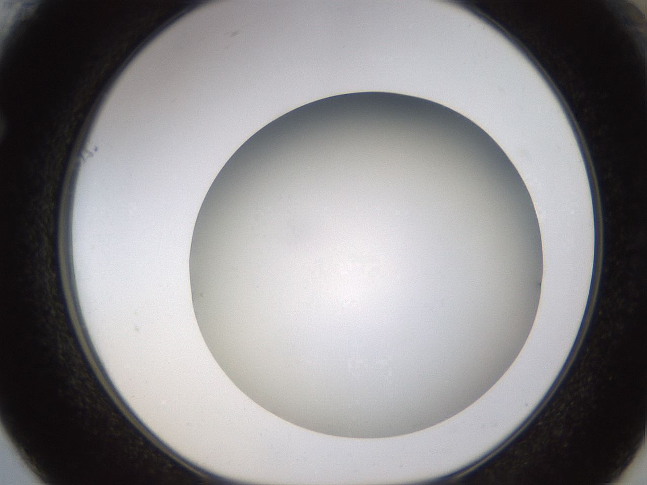 folderID571_plateID1571_batchID6357_wellNum61_profileID1_d1_r102603_ef.jpg